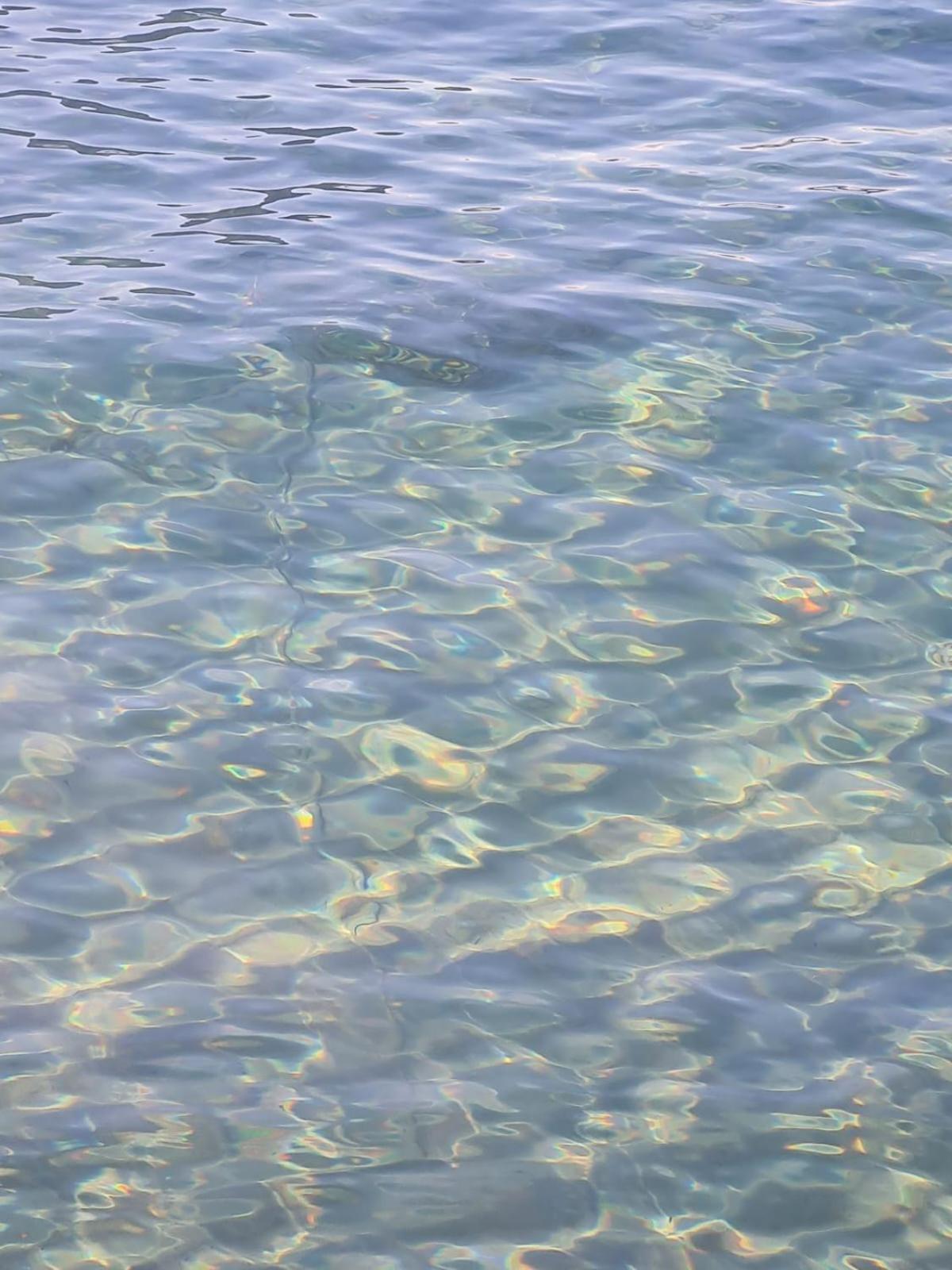 Casetta Bella Nonna Rosetta Mondello Buitenkant foto